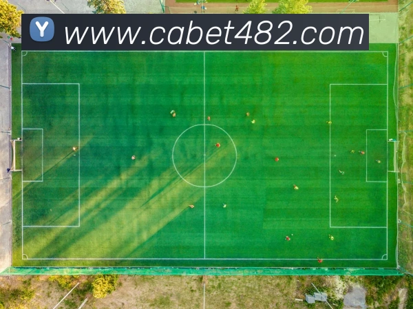 ca亚洲城APP 封面图