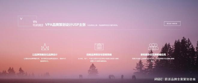 ：塑造独特形象的综合艺术EVO视讯品牌全案设计(图3)